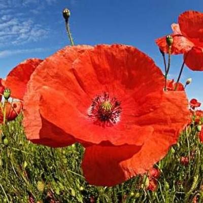 半岛手机综合体育登录